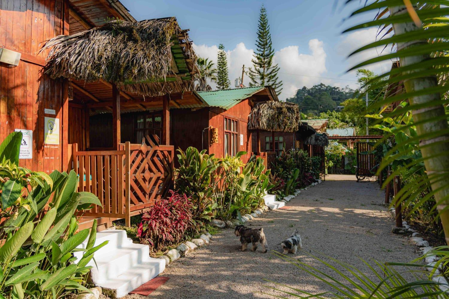 Mindo Glambird Glamping & Lodge Экстерьер фото