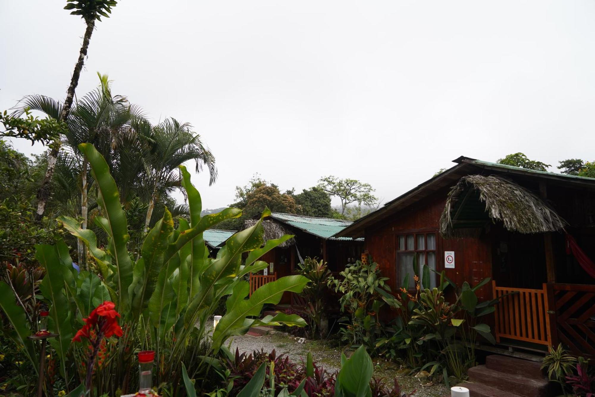 Mindo Glambird Glamping & Lodge Экстерьер фото